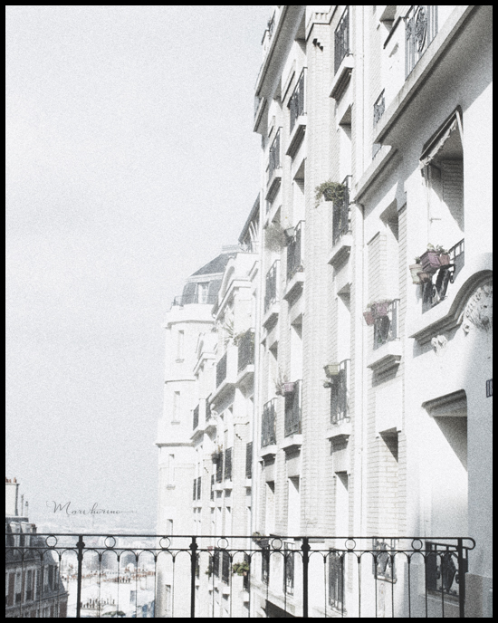 ホリマリ白いパリの風景 White Paris series1