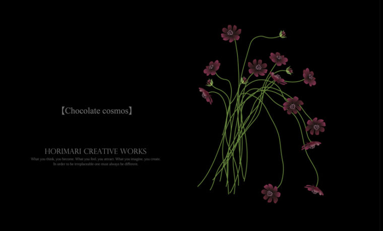 ホリマリ プチデザイナーコース-イラストレーターでお花を描く。チョコレートコスモスが可愛すぎて感動！